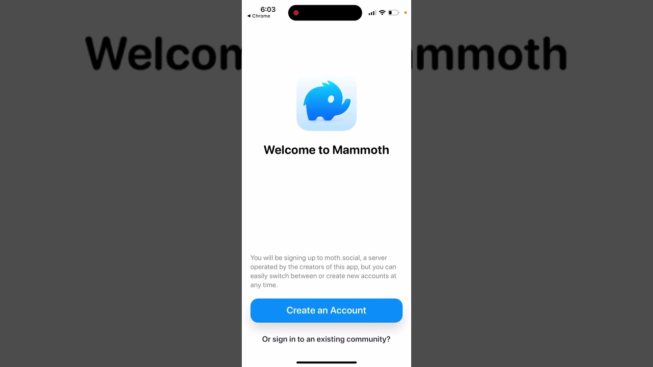 How to install Mammoth for Mastodon app?