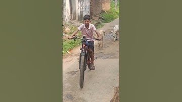 Emotorad T rex air 🚲