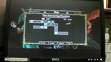 Dust: An Elysian Tale - 1,000 Hit Combo Guide