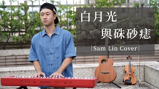 《白月光與朱砂痣 + 銀河與星斗》【Sam Lin Cover】 chords