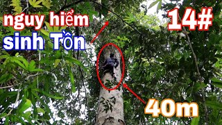 Sang Vlog Gặp NGUY HIỂM KHI SINH TỒN TRONG RỪNG ( tập 5) Kết Thúc 14 Ngày Sống Sót