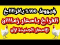 أسعار الفراخ البيضاء اليوم ٢٠٢٦ ٥ ٧ سعر الفراخ والبط والكتاكيت والبيض النهارده اسعار الفراخ اليوم