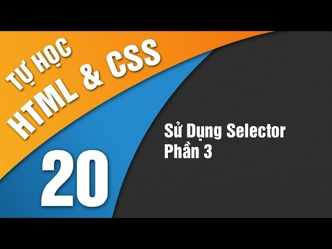 Tự Học HTML & CSS - Bài 20 Sử dụng selector trong định dạng CSS Phần 3