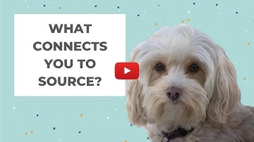 What Connects You to Source? | davidji