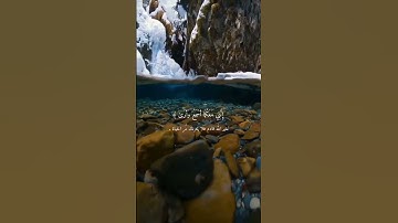 ﴿قَالَ لَا تَخَافَاۤۖ إِنَّنِی مَعَكُمَاۤ أَسۡمَعُ وَأَرَىٰ﴾ [سورة طه -آيه٤٦]