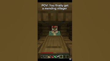POV: You finally get a mending villager #shorts