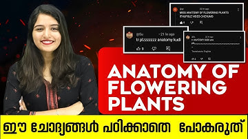 Anatomy Of Flowering Plants | Most Important Questions | Plus One Biology Public Exam