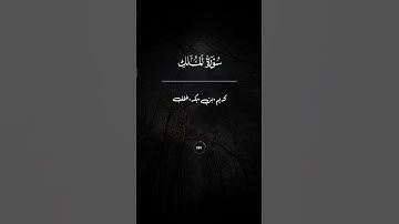 #سورة_الملك ❤️🕊️ {إن الذين يخشون ربهم بالغيب لهم مغفرة وأجر كبير} 🤍🎧 #اكسبلور #راحة_نفسية #تلاوات