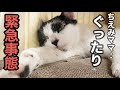 え…？ちえみママの首を見てゾッとしました。【緊急事態🚨】