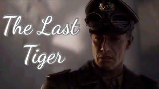 Battlefield V | The Last Tiger - Perfect Girl Edit