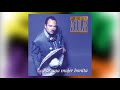 Pepe Aguilar - Perdóname