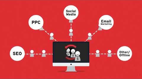 Social Wizard - WEB DESIGN & DEVELOPMENT