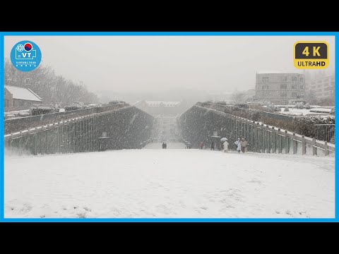 〖4K〗[University Campus Tour] Ewha Womans University Campus in Heavy Snowfall 눈이 내리는 이화여대 캠퍼스 걷기