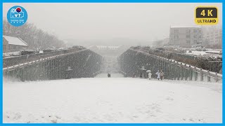 〖4K〗[University Campus Tour] Ewha Womans University Campus in Heavy Snowfall 눈이 내리는 이화여대 캠퍼스 걷기
