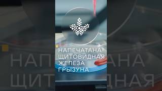 Российские ученые начали печатать органы на принтере #ключ #shorts #технологии