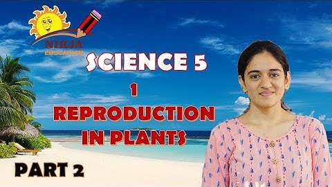 class 5 science chapter 1 - class 5 science chapter 1 - part 2