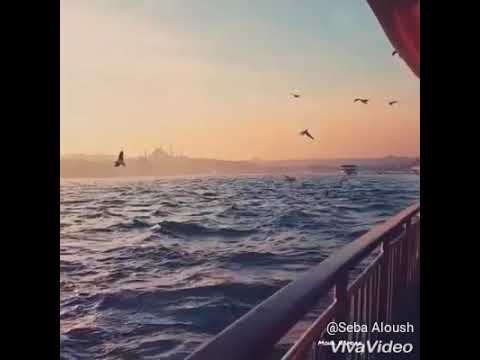 جوليا بطرس بكرا شي نهار