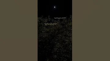 تامر حسني متبعدش عني ولا ثانية 