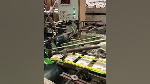 Bobst Domino 110M Video