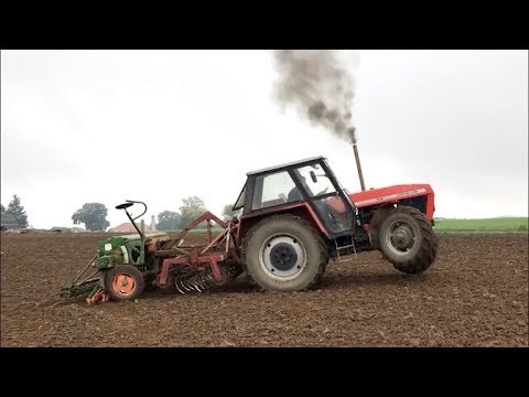 Zastępca Ale Nie Następca! Energiczny Siew Na Dwóch Kołach !