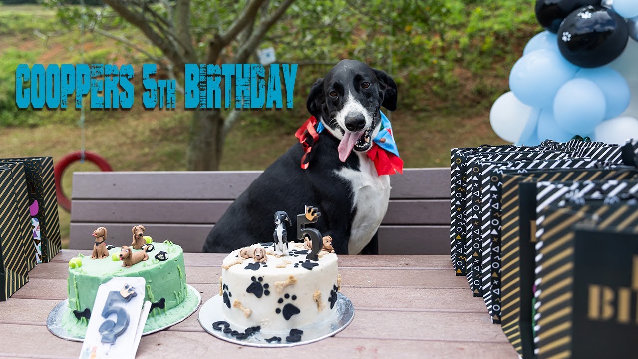 Coopper's 5th Birthday - YouTube