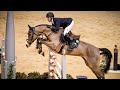 ~Equestrian sport~Showjumping~Miniature~Конный спорт~Конкур~Миниатюра~Survive~