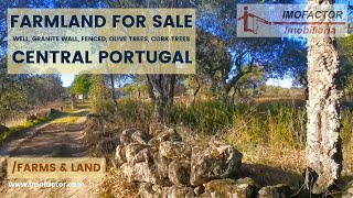 🌾 Cheap Farmland for Sale - Central Portugal | €15500