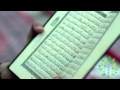نآصر آلسعيد عشنا سنين ا والكتاب رفيق نا YouTube نآصر آلسعيد عشنا سنين ا والكتاب رفيق نا YouTube