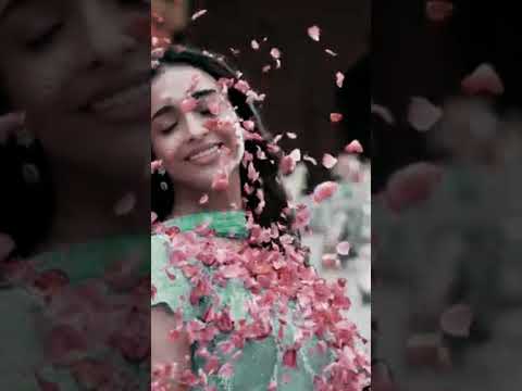 Janabe Ali -