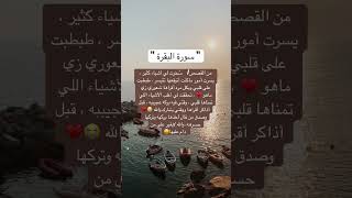 قصة عن عجائب سورة البقرة 