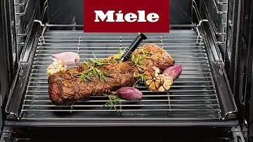 Was ist Heißluft Plus bei Miele Backofen?