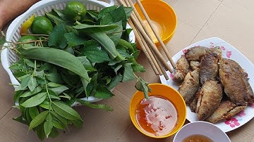 Bữa cơm với cá rô chiên giòn rau đồng cỏ nội | HQBL  #58