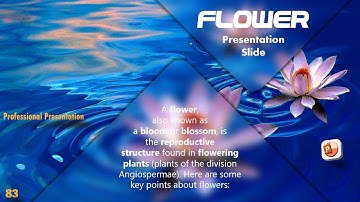 Project presentation video | Multimodal Presentation | how to make creative presentation video