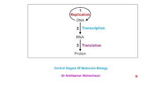 Central Dogma of Molecular Biology || Central Dogma of Life || Biochemistry