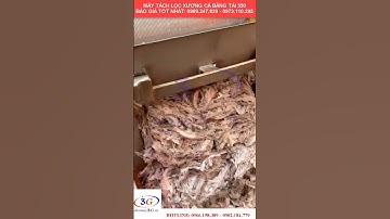 Máy Tách Xương Cá Mối Tự Động Năng Suất Cao - LH: 0969.247.839