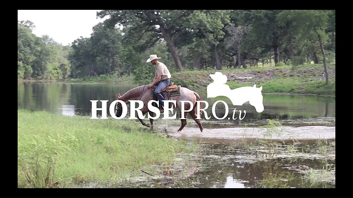 Horse Training Video: HORSEpro.tv with Cowhorse Tr...