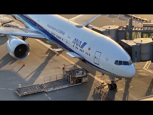 Tokyo (HND) ~ New York (JFK) - ANA - Boeing 777-300ER - NH110