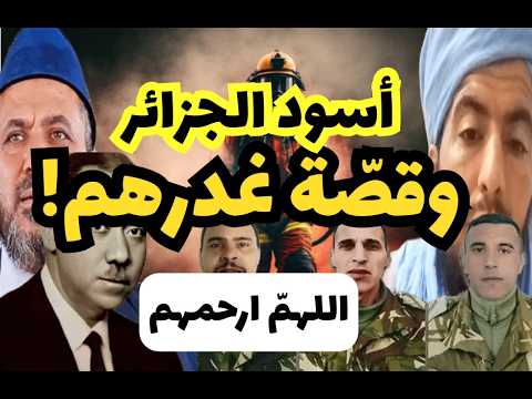 كلمة مهمة عن الجيش الجزائري أسود الجزائر وقص ة غدرهم خلفيات الحادثة