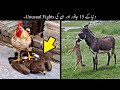 15 Unexpected Animal Fights Caught On Camera | جانوروں کی انوکھی لڑائیاں | Haider Tv