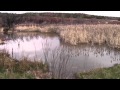 Zuni River Video