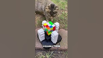 cool robot rubik