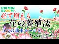【初心者必見】必ずバラを増やす方法【ピクミンブルーム / Pikmin Bloom 】