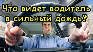 Реальная видимость из автомобиля в сильный дождь! Реальная видимость из автомобиля в сильный дождь!