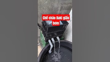 coi bộ cũng Ổn Áp #chillout #viralvideo #menuoica #shorts #diy #tulamhoca