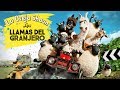 Película Completa - Llamas Del Granjero - La Oveja Shaun