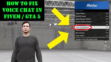 How to fix voice chat in FiveM / GTA 5