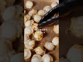 【元イタリア料理人が本気で作るレモンクリームパスタ】#料理 #パスタ #レモン