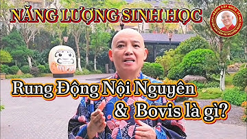 #1063 Rung Động Nội Nguyên & Bovis Là Gì? | Thầy Sơn Dạy Cảm Xạ Ứng Dụng & Tăng Năng Lượng Online.