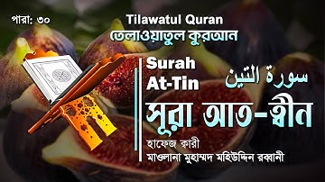 হৃদয় ছুঁয়ে যাওয়া তেলাওয়াত | সূরা আত-ত্বীন | At-Tin | سورة التين | ATR QURAN TELAWAT