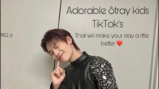 Adorable Stray kids TikTok's that will make your day a little better!